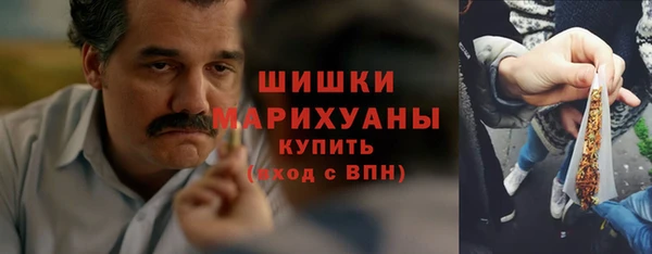 дживик Лагань