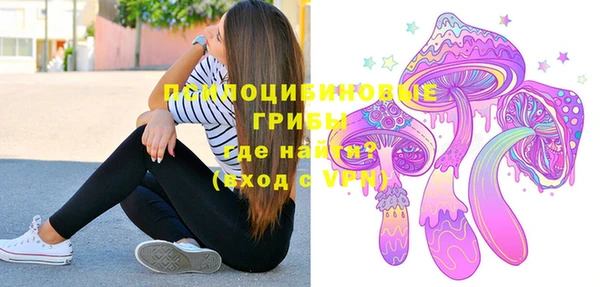 дживик Лагань