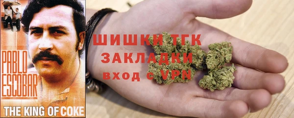 дурь Лабытнанги